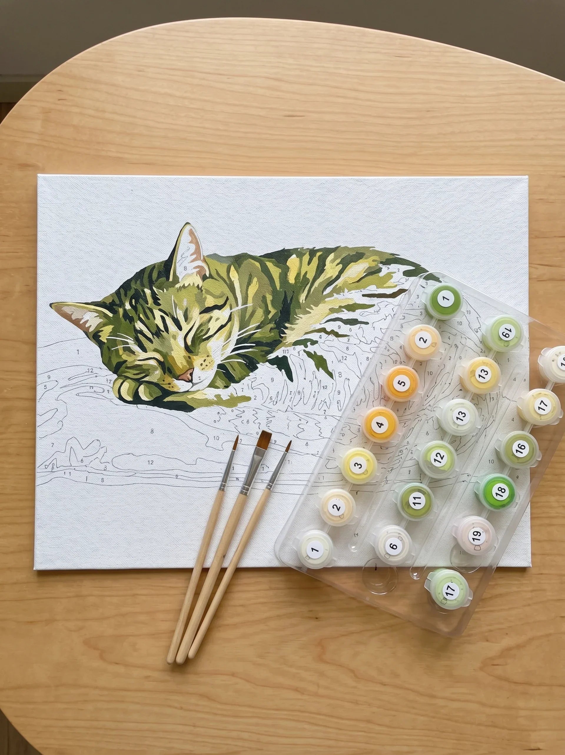 Paint by numbers canvas of a sleepy tabby cat partly painted on a wooden table, with three brushes and a numbered paint pot tray in soft daylight