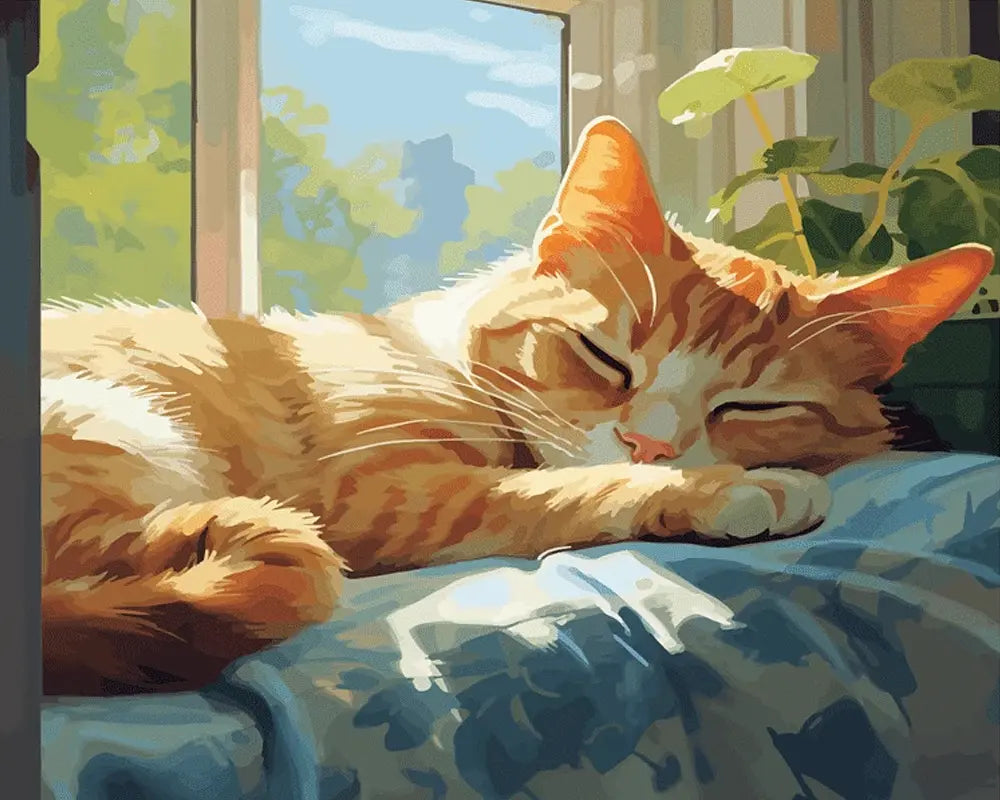 Sleepy Cat | Paint By Numbers Kit