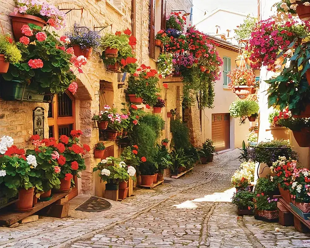 Mediterranean Village Street - Paint by Numbers Kit