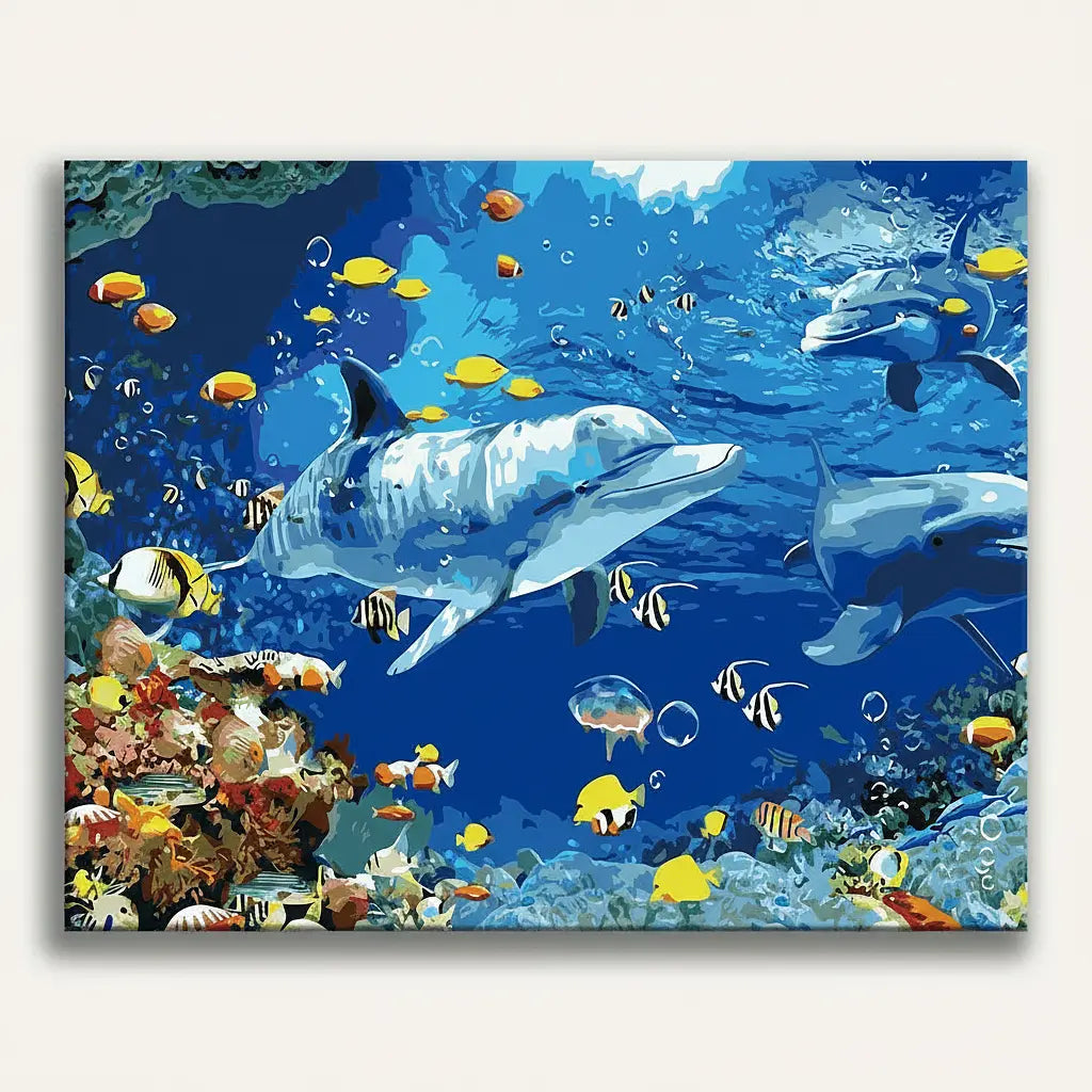 Ocean Dolphins Paradise
