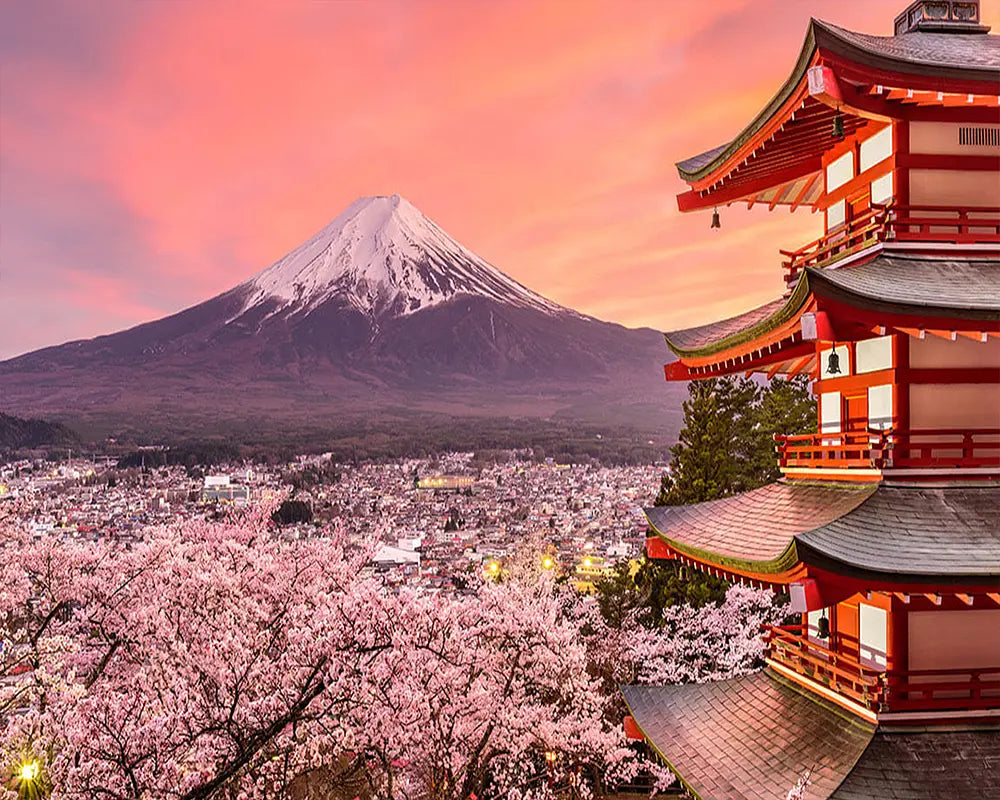 Japan Cherry Blossoms