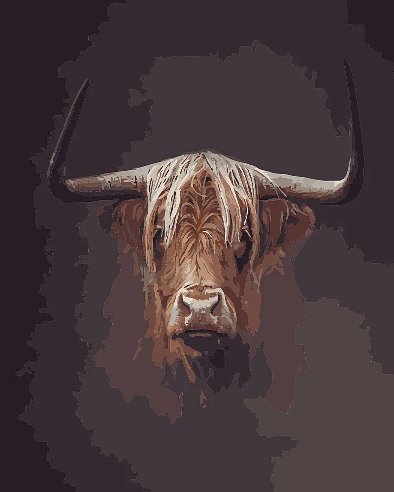 Highland Bull