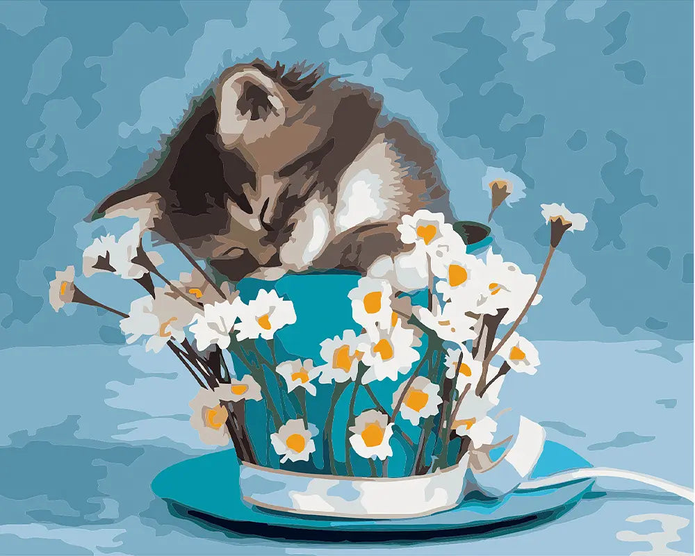 Teacup Kitten