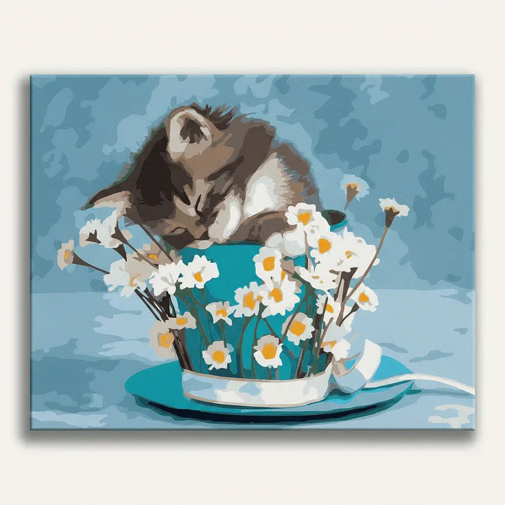 Teacup Kitten
