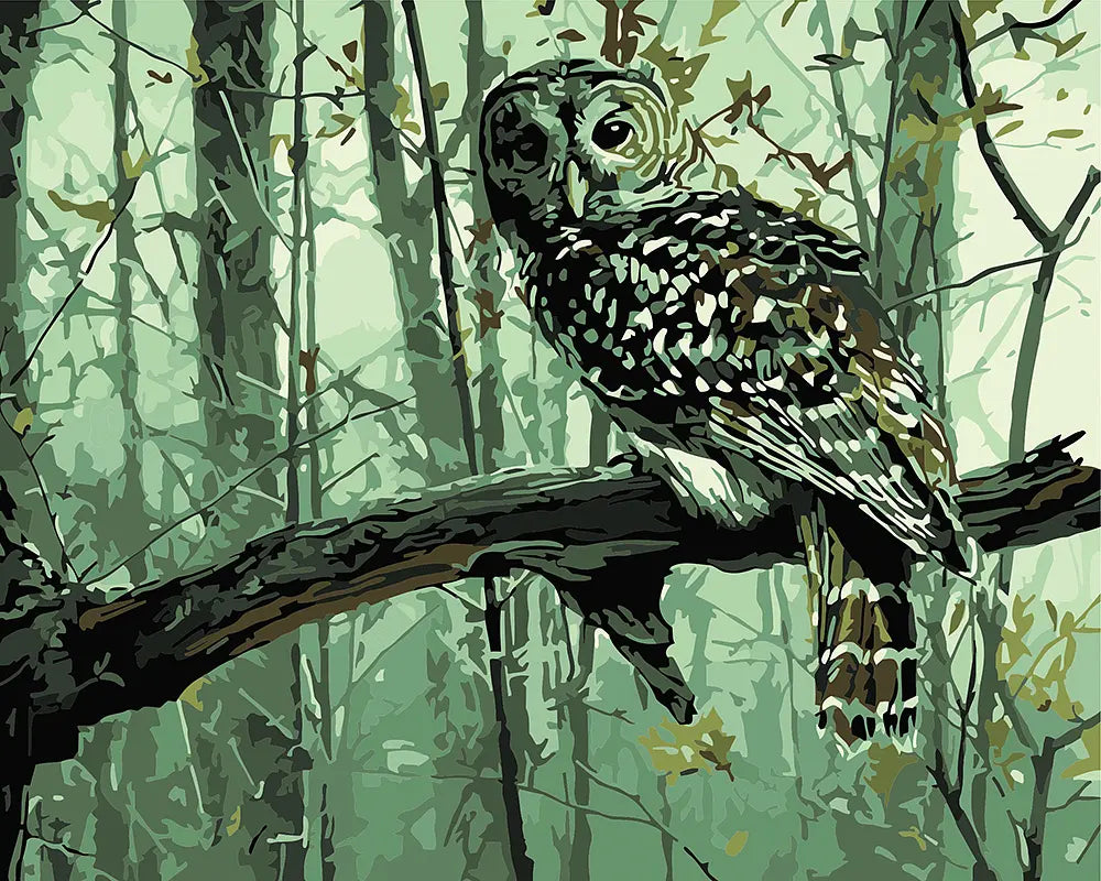 Forest Owl Paint