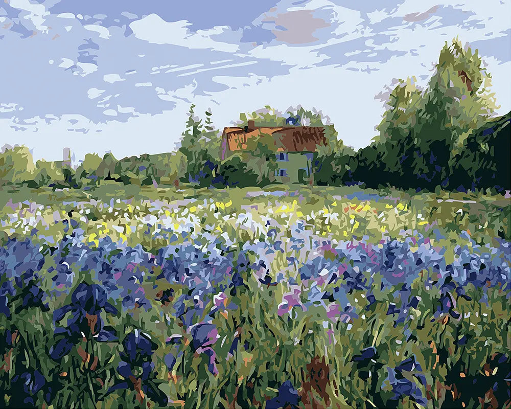 Wildflower Meadow