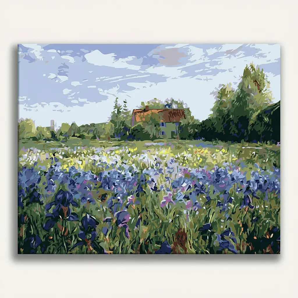 Wildflower Meadow