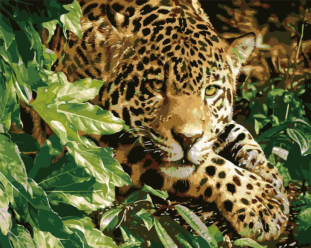 Jaguar Jungle Kit