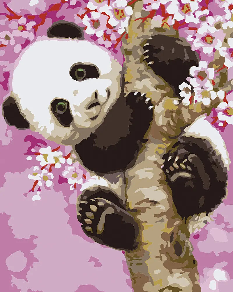 Panda Cherry Blossoms