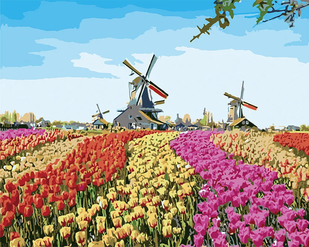 Dutch Windmill Tulips