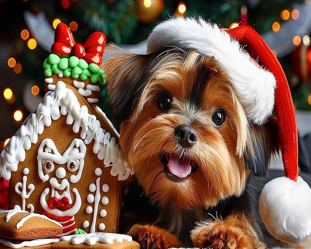 Yorkie Gingerbread Christmas | Paint By Numbers Kit
