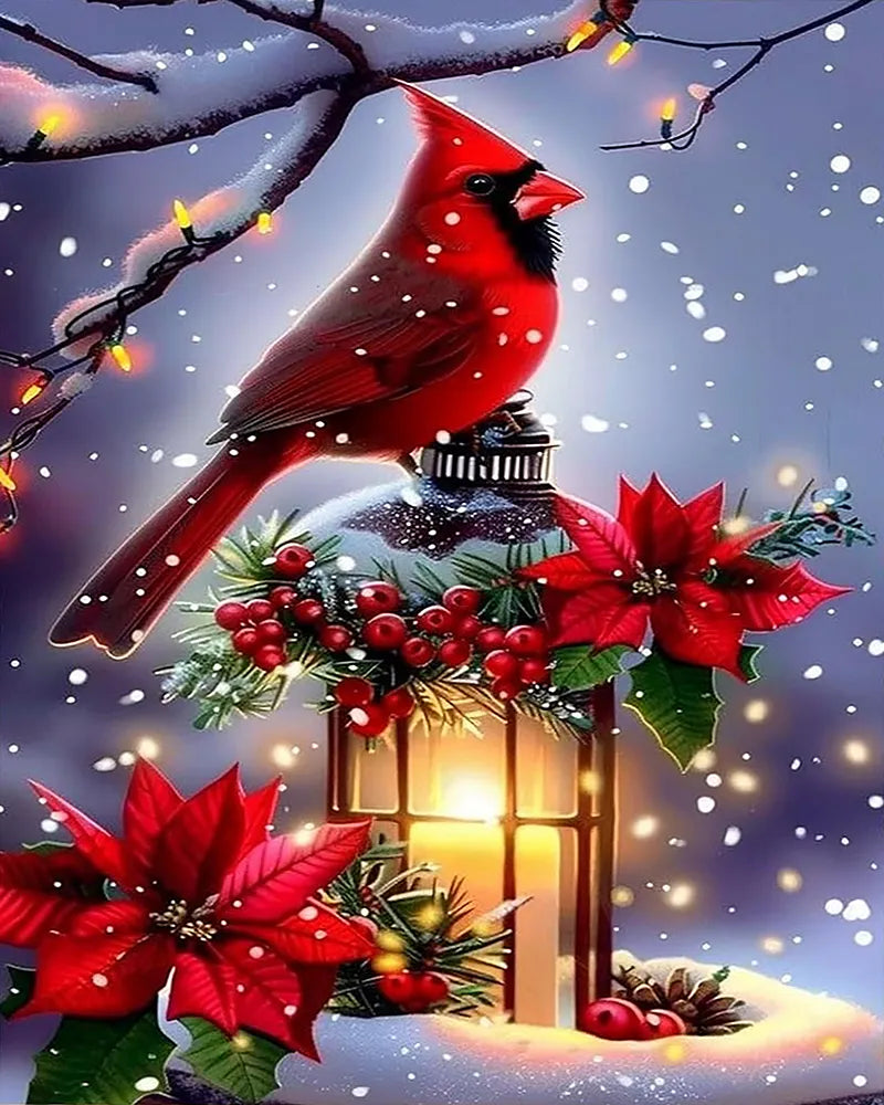 Red Cardinal Poinsettia Lantern | Paint By Numbers Kit