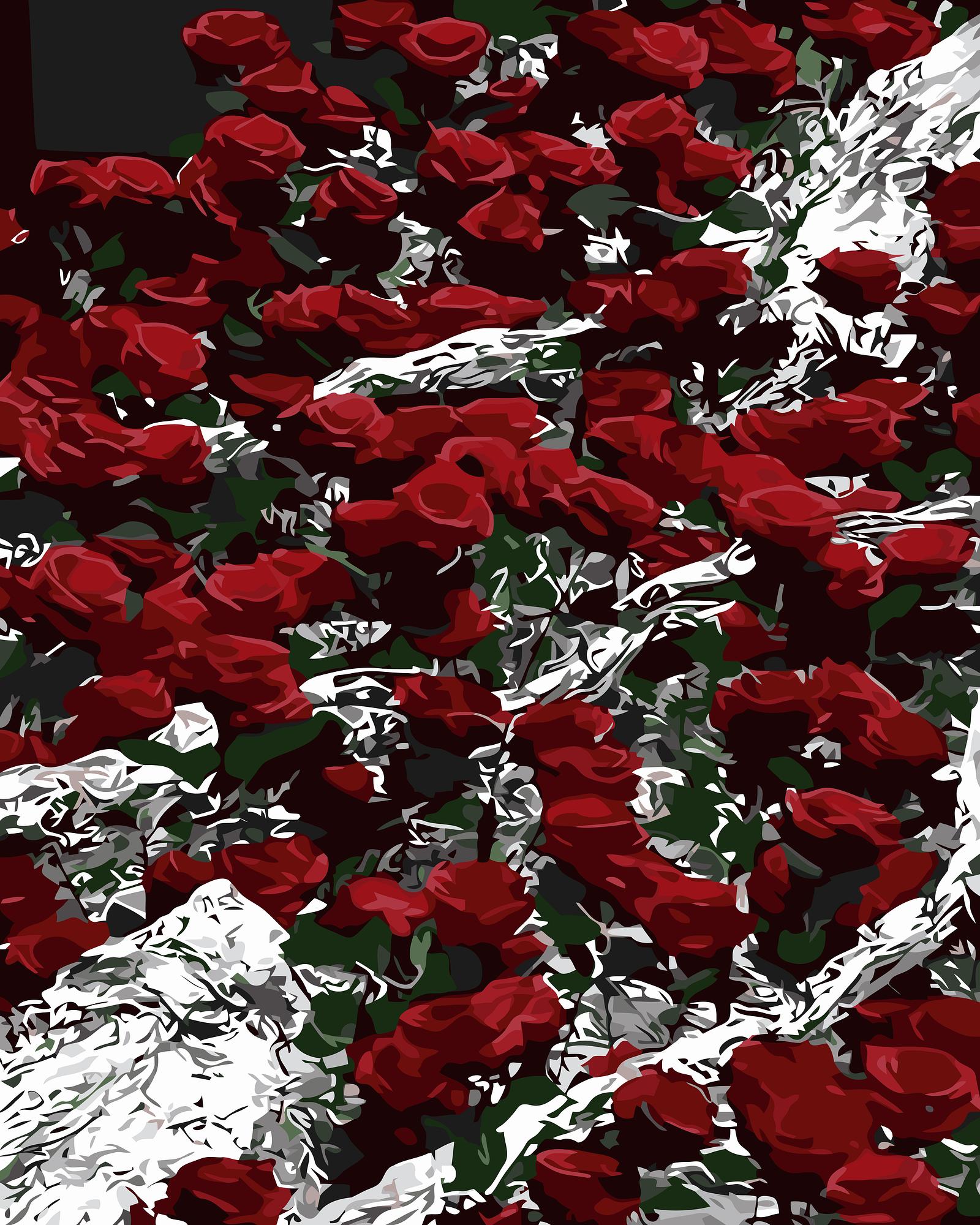 Red Roses Bouquet | Paint By Numbers Kit