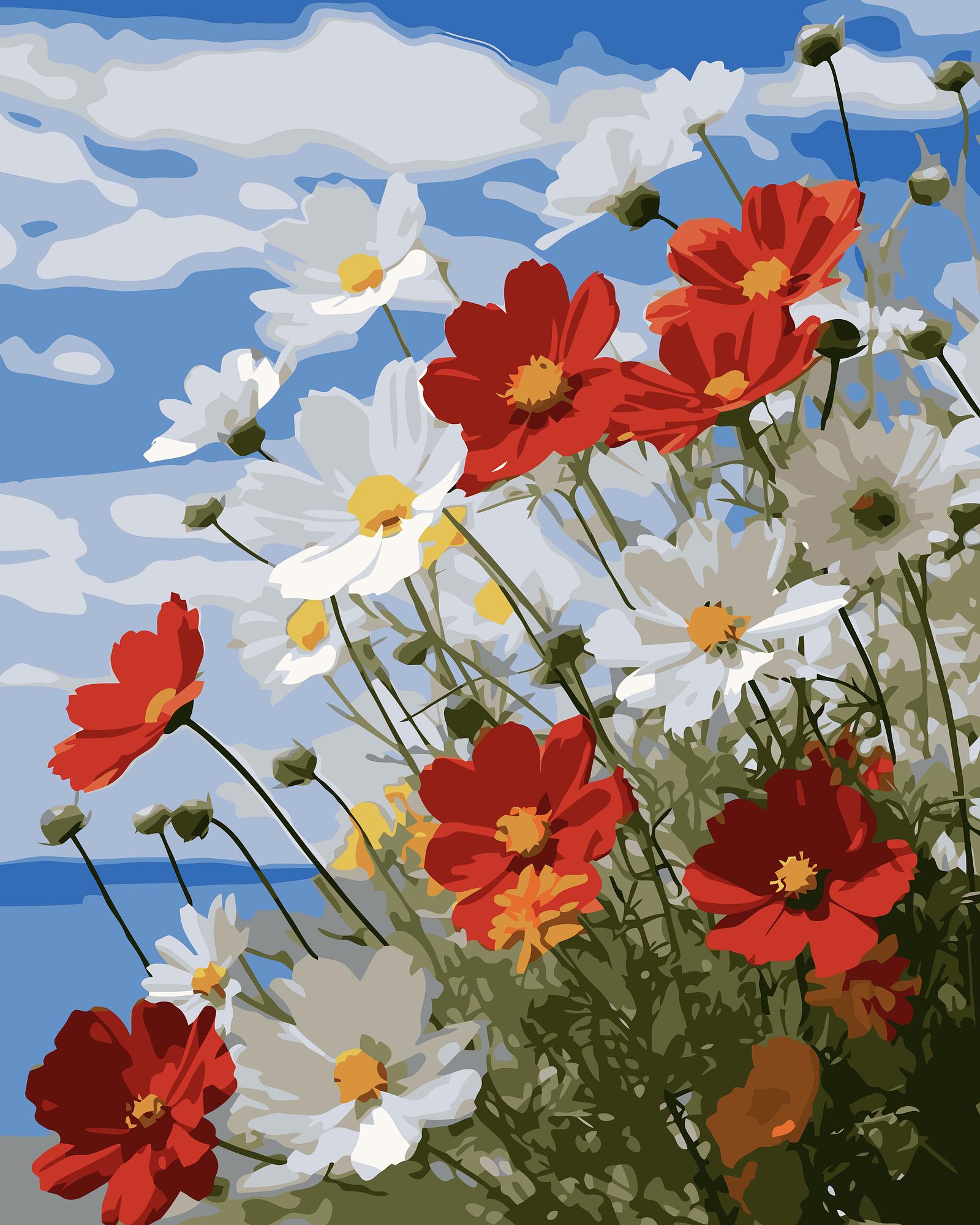 Cosmos Flower Garden | Paint By Numbers Kit