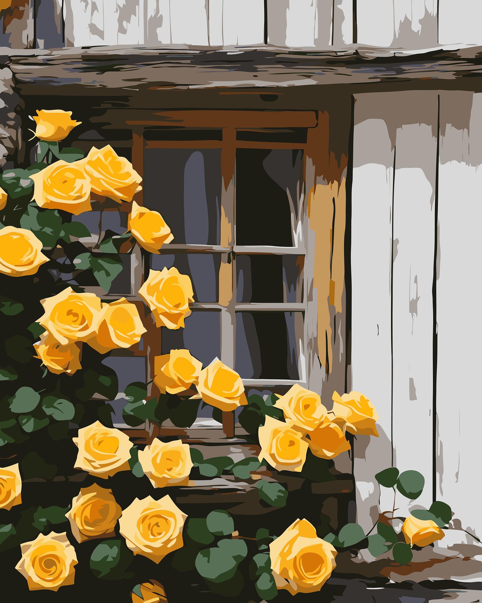 Cottage Garden Roses | Paint By Numbers Kit