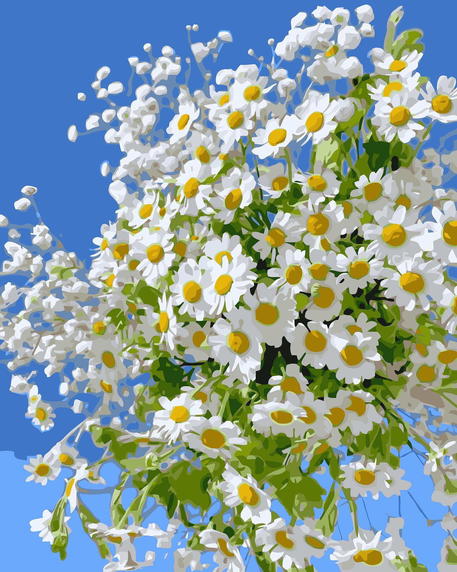 Dancing Daisies | Paint By Numbers Kit