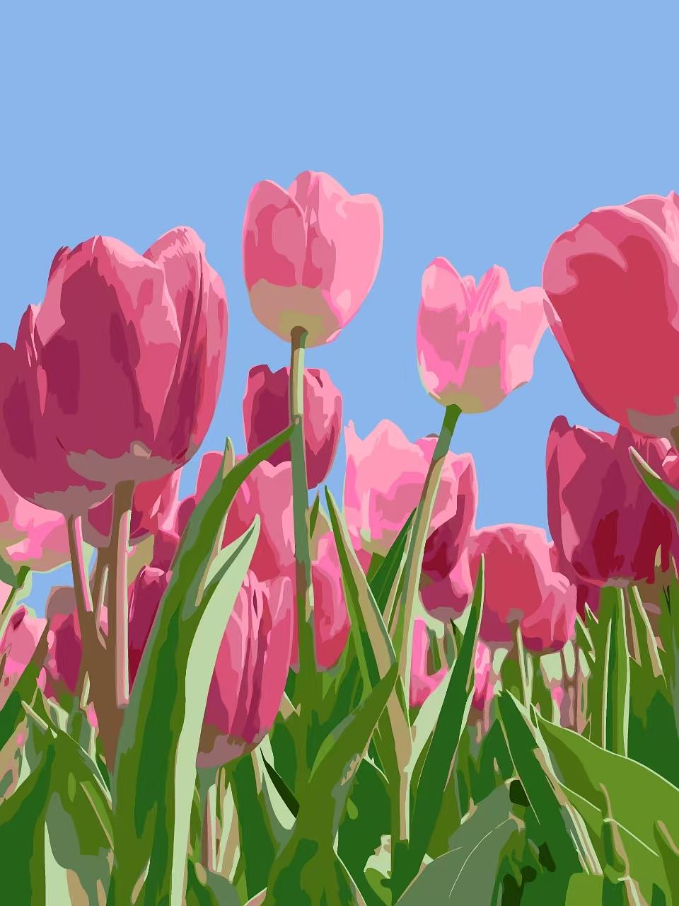 Pink Tulips Kit | Paint By Numbers Kit