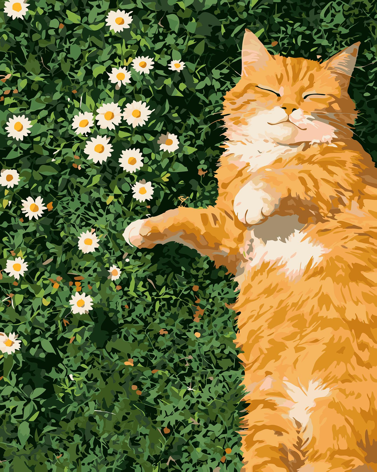 Happy Cat Daisies | Paint By Numbers Kit