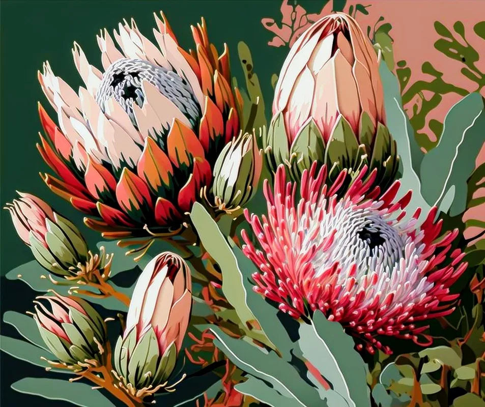 Protea Flowers Collection | Paint By Numbers Kit