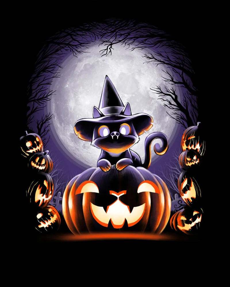 Halloween Cat Witch | Paint By Numbers Kit