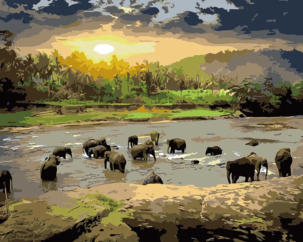 Elephant River Sunset