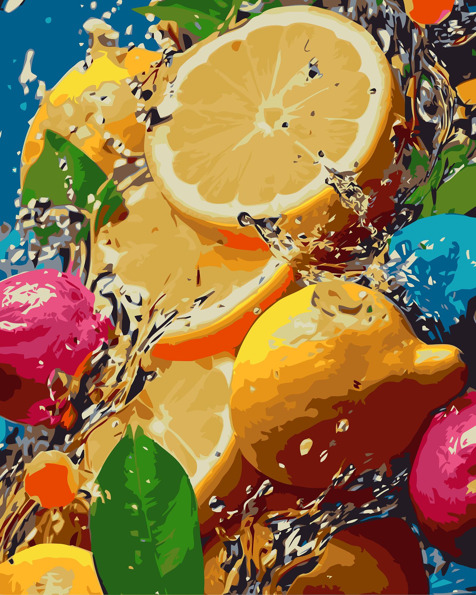 Citrus Splash Art | Paint By Numbers Kit