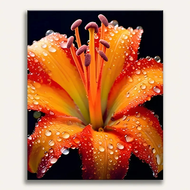 Orange Lily Bloom | Paint By Numbers Kit