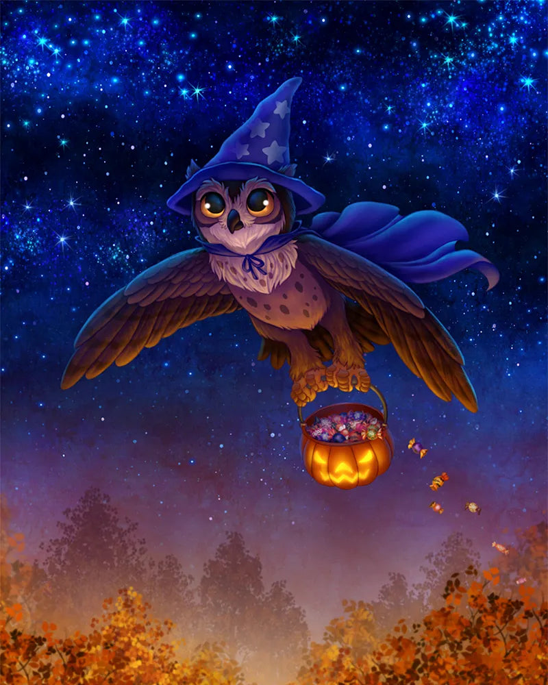 Wizard Owl | Paint By Numbers Kit