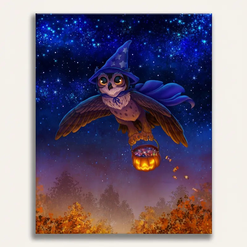 Wizard Owl | Paint By Numbers Kit