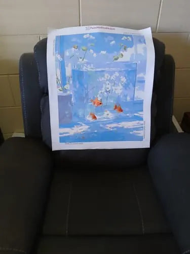 Customer photo review of Goldfish Garden Aquarium